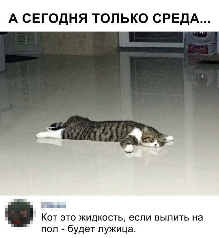 Скрины из социальных сетей