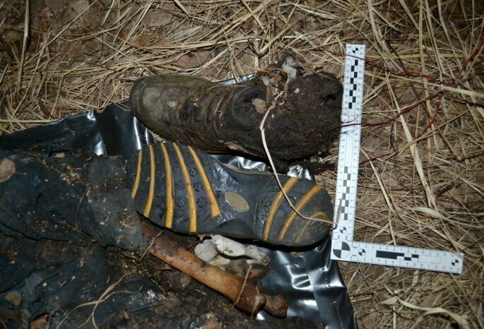 В Омской области нашли человеческий скелет, привязанный к дереву