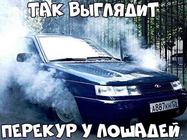 Автовсячина