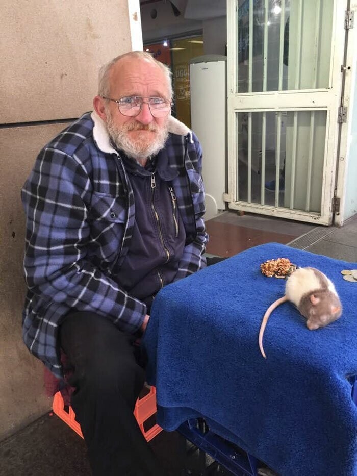 У бездомного из Сиднея украли любимую крысу - полиция города на ушах
