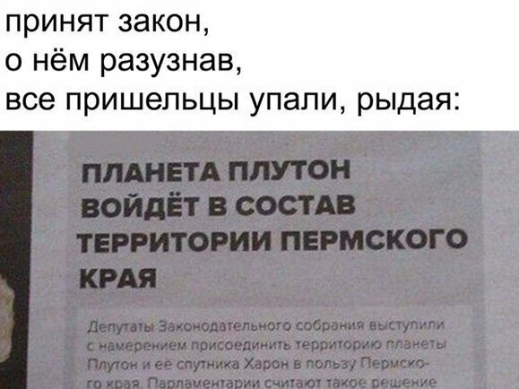 Прикольные и смешные картинки