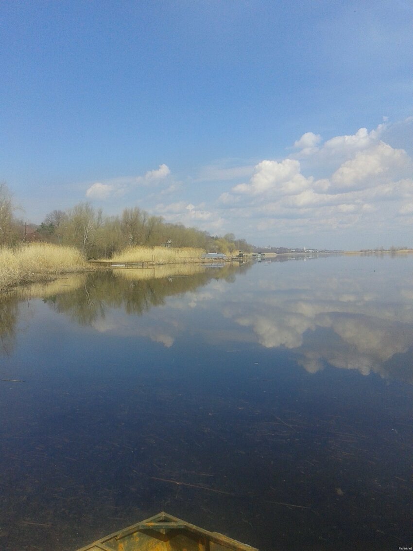 Сегодняшняя Волга
