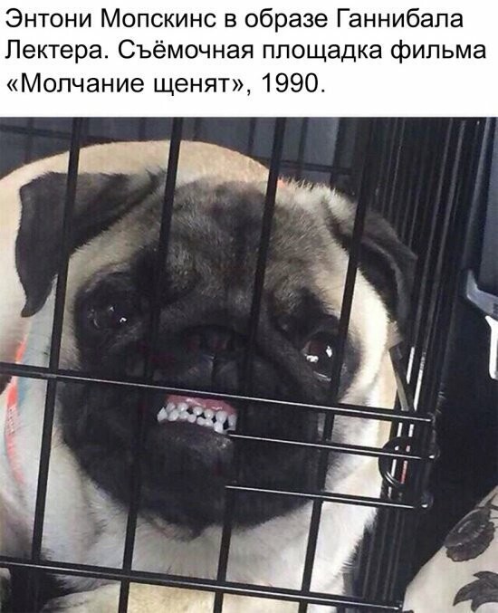 Намешалось