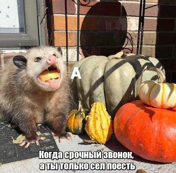 Намешалось