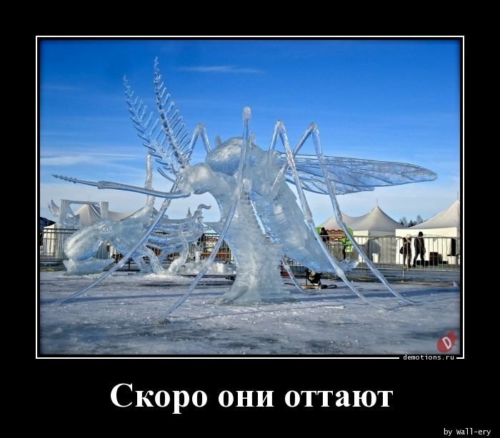 Скоро они оттают