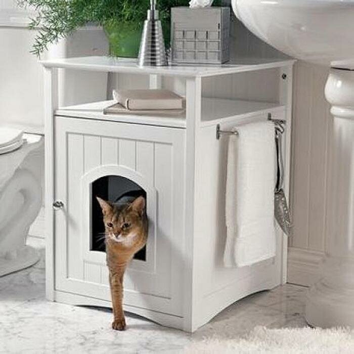  Эстетичный кошачий туалет 