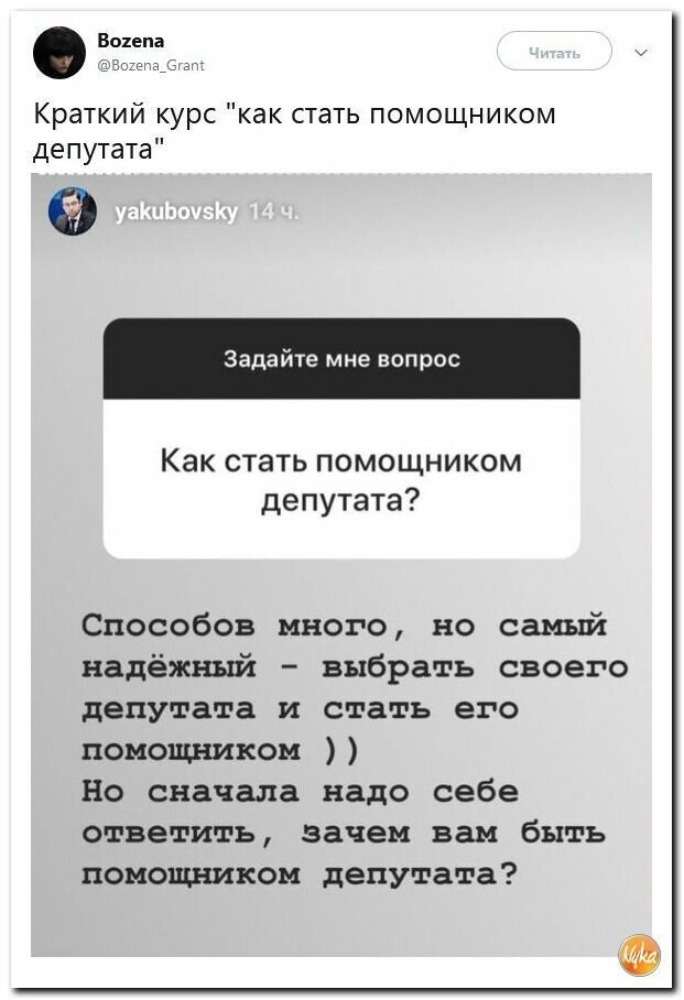 Политические вместо REXа