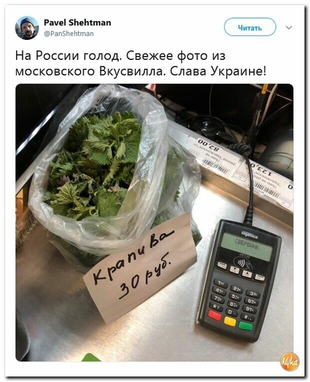 Политические вместо REXа