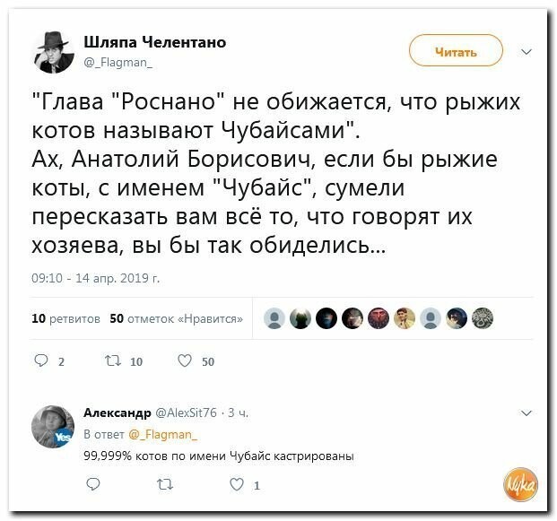 Политические вместо REXа