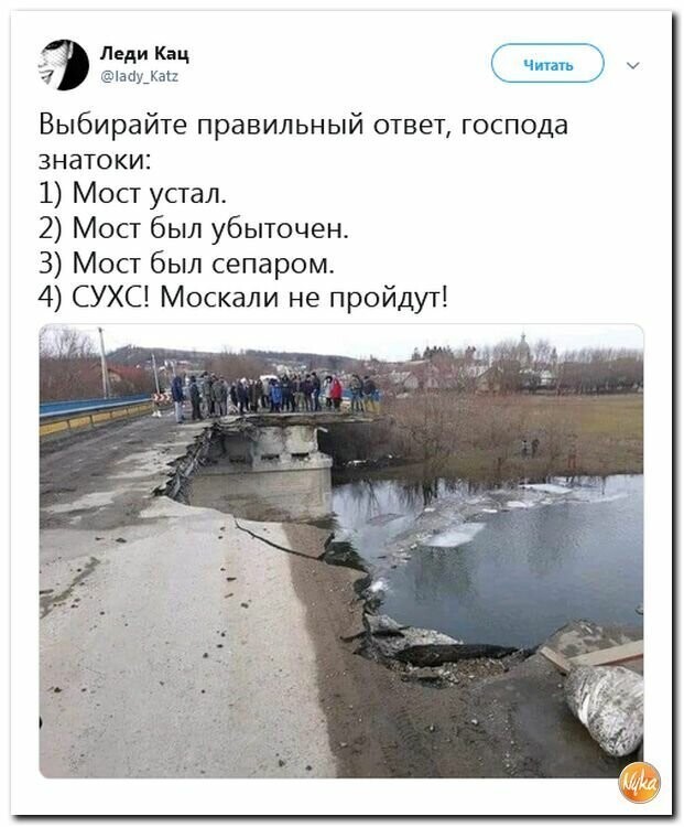 Политические вместо REXа