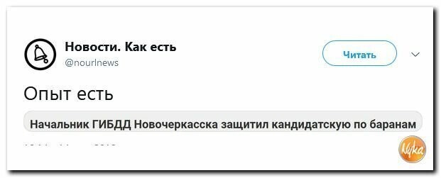 Политические вместо REXа