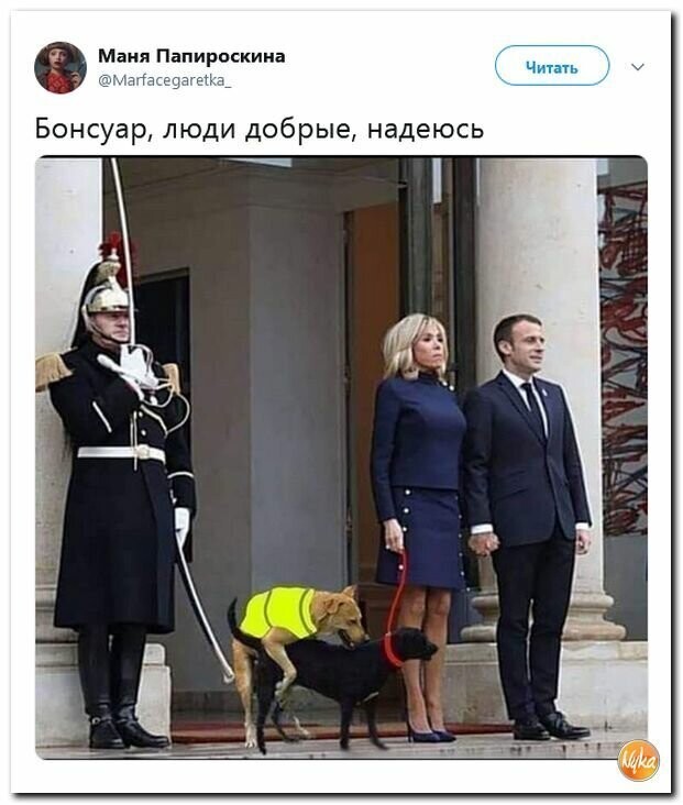 Политические вместо REXа