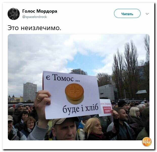 Политические вместо REXа