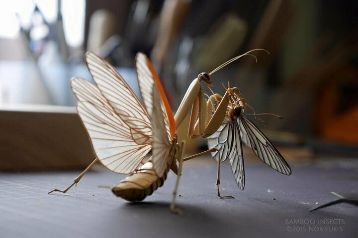Скульптуры насекомых из дерева