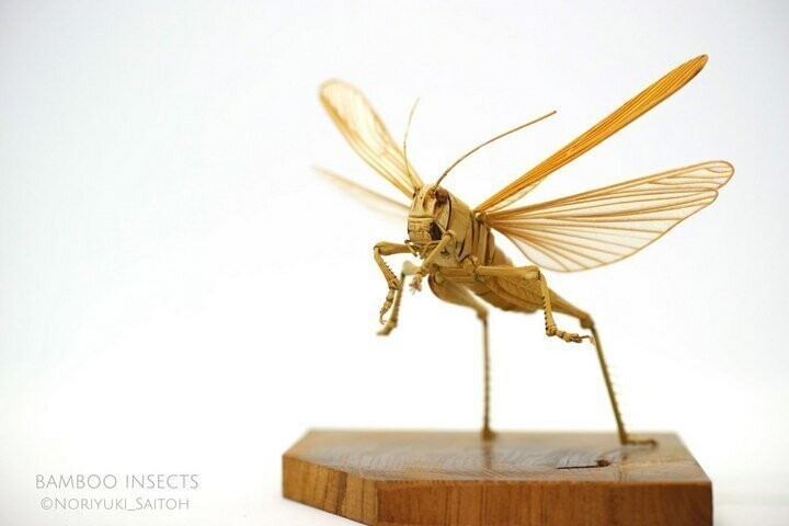 Скульптуры насекомых из дерева