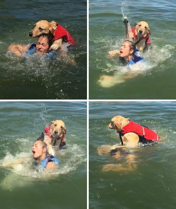 31. "Это был чудесный день на озере, пока моя собака чуть не утопила мою сестру"