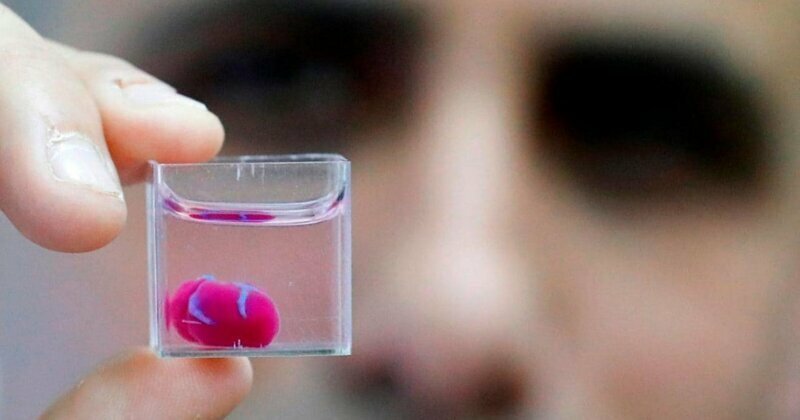Исследователи из Тель-Авивского университета в Израиле представили миру первое живое сердце, напечатанное на 3D-принтере