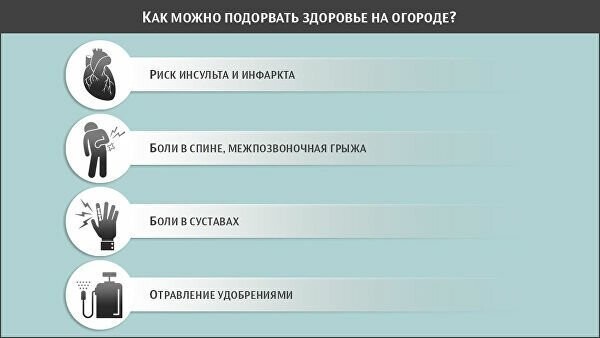 Огородная болезнь. Как можно подорвать здоровье на садовом участке