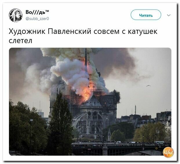 Политические вместо REXа