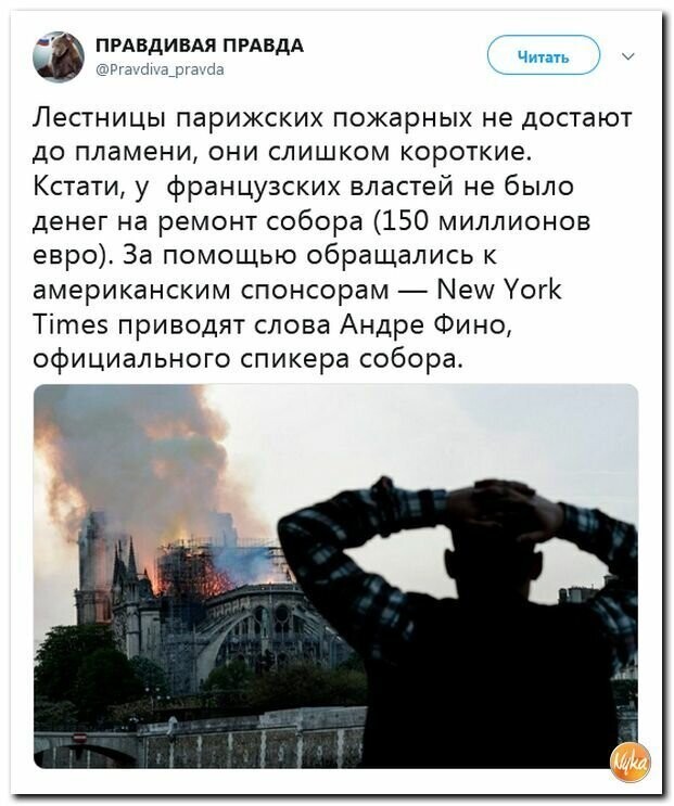 Политические вместо REXа