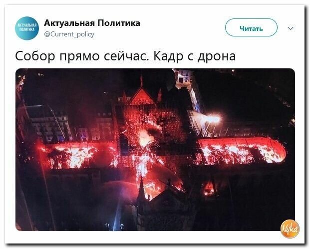 Политические вместо REXа