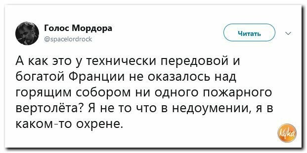 Политические вместо REXа