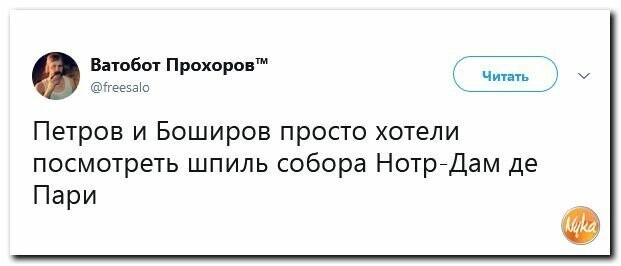 Политические вместо REXа
