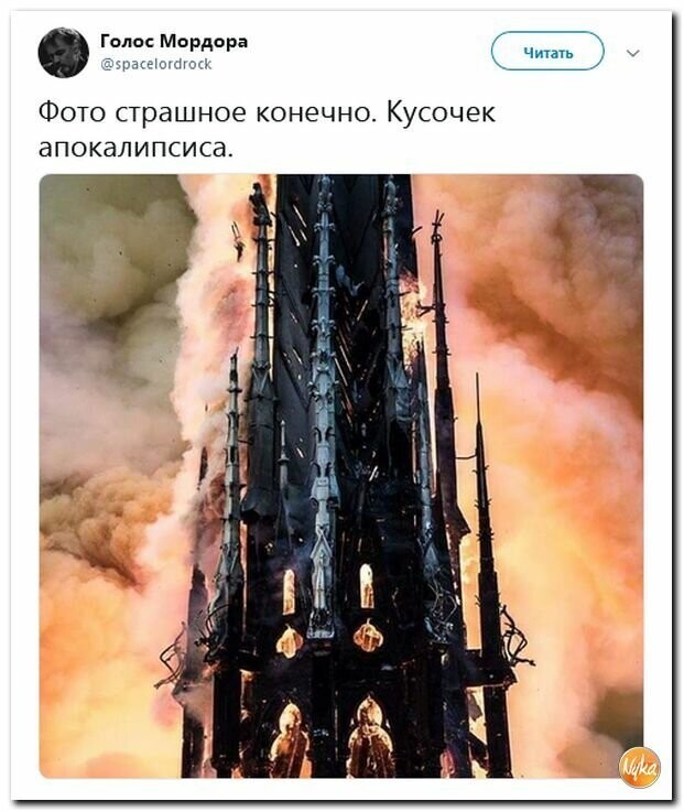 Политические вместо REXа