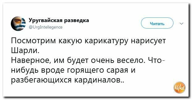 Политические вместо REXа