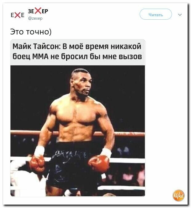 Политические вместо REXа
