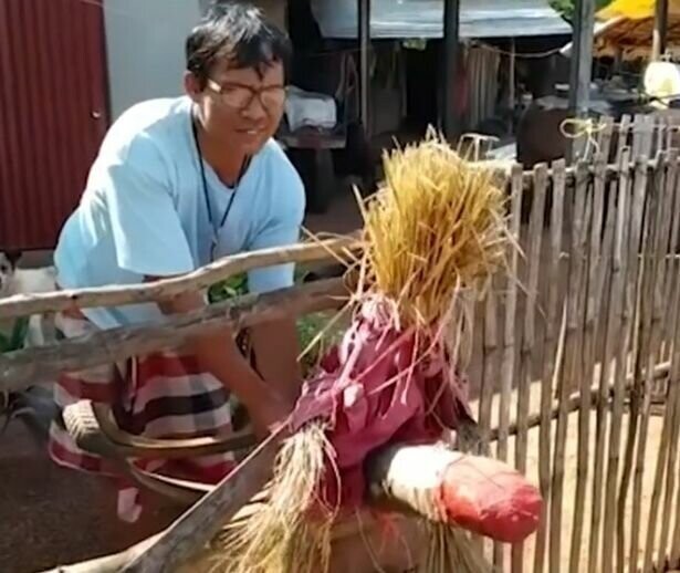 В тайской деревне для отпугивания злого призрака женщины используют чучела с огромными мужскими