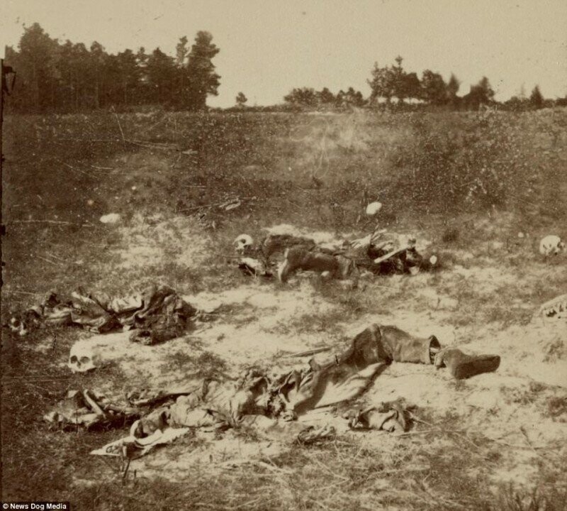 Ужасающие фотографии жертв самой кровопролитной войны в истории США