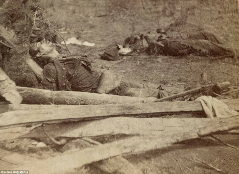 Ужасающие фотографии жертв самой кровопролитной войны в истории США