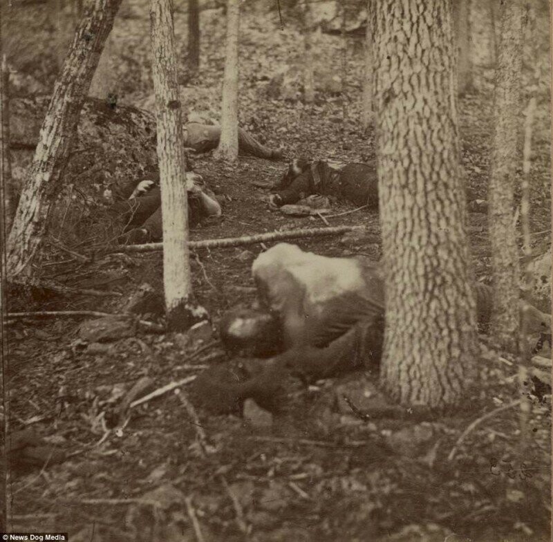 Ужасающие фотографии жертв самой кровопролитной войны в истории США