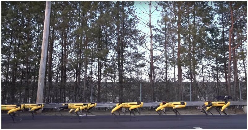Почти армия: роботы Boston Dynamics сбились в стаю