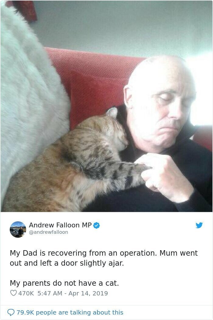 Этой трогательной историей поделился Эндрю Фаллон: "Мой отец поправляется после операции. Мама вышла из комнаты и оставила дверь приоткрытой. У моих родителей нет кошки"