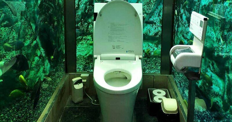 Японское кафе Hipopo Papa прославилось на весь мир благодаря причудливому туалету внутри огромного аквариума