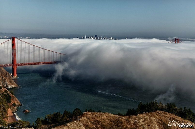 Туман над Золотыми воротами (мост), Сан-Франциско