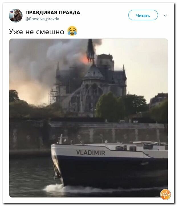 Политические вместо REXа