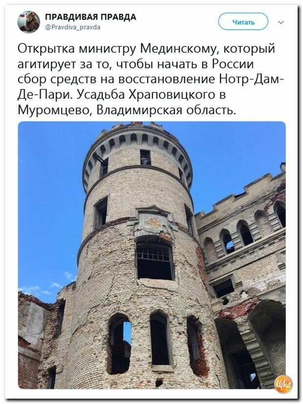 Политические вместо REXа