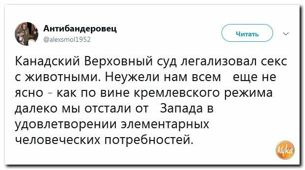 Политические вместо REXа