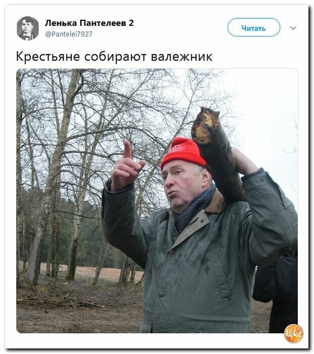 Политические вместо REXа