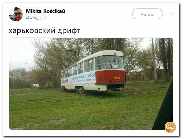 Политические вместо REXа