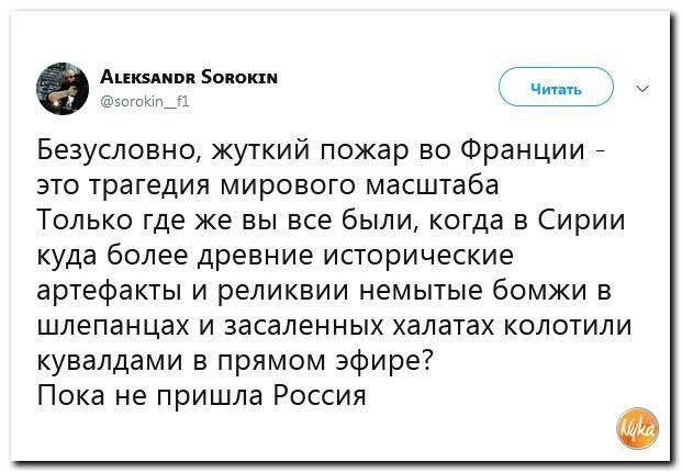 Политические вместо REXа