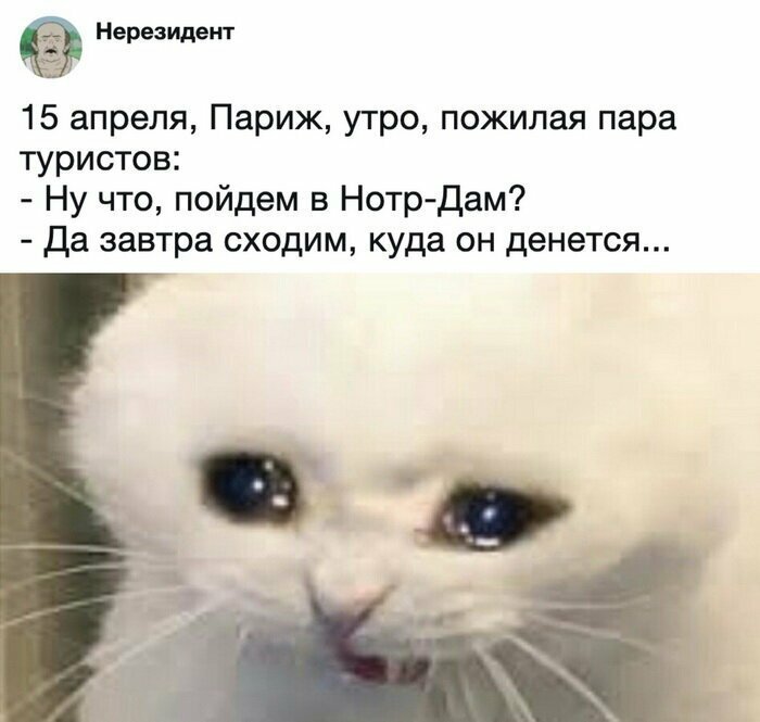 Скрины из социальных сетей