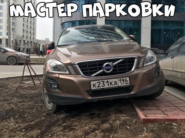 Автовсячина