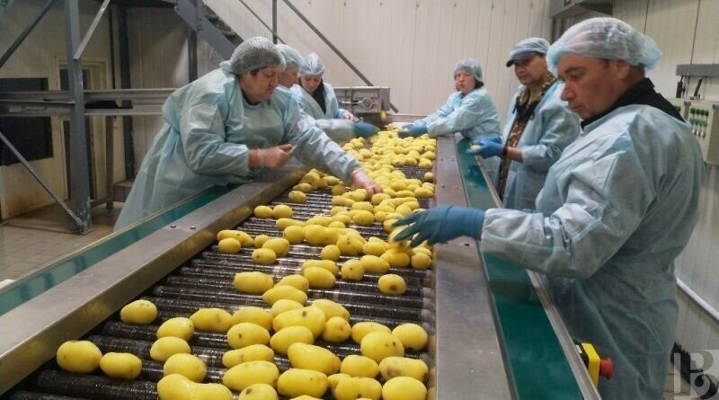 В Рязанской области открылся новый завод «Касимовский картофель»