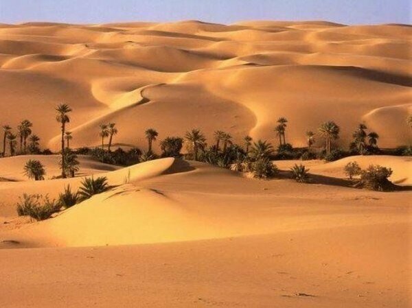 Самое засушливое место на земле  Заблуждение: Пустыня Сахара