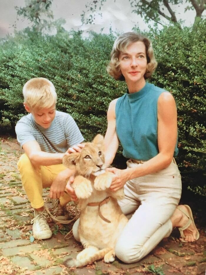 3. "Это мой отец и его мама в 1959 году. Она была ветеринаром. А это их ручной лев, который у них жил два года"