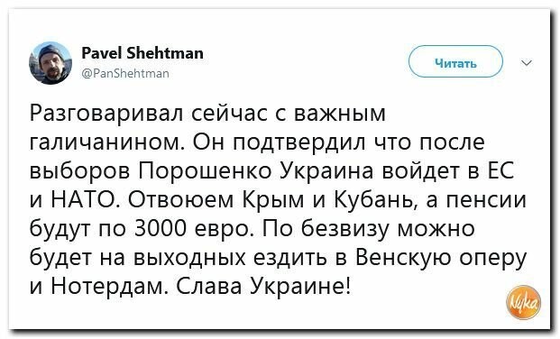 Политические вместо REXа